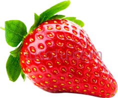 草莓PNG