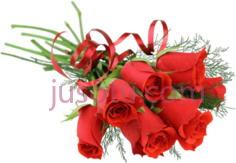 红色花束PNG