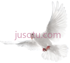 白鸽PNG