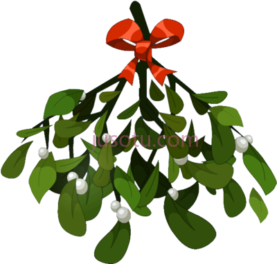 槲寄生,mistletoe PNG