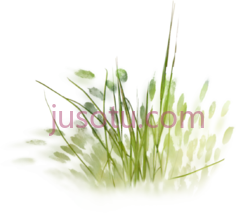 绿草, PNG
