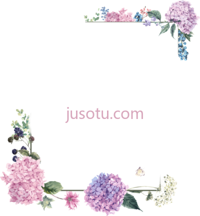花边框,frame flower border PNG
