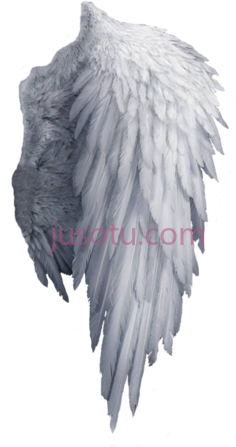 白色天使翅膀PNG