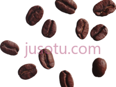 咖啡豆PNG