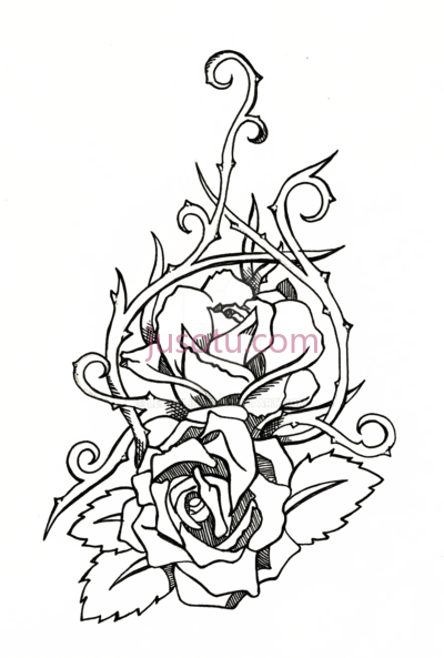 玫瑰线,rose line PNG