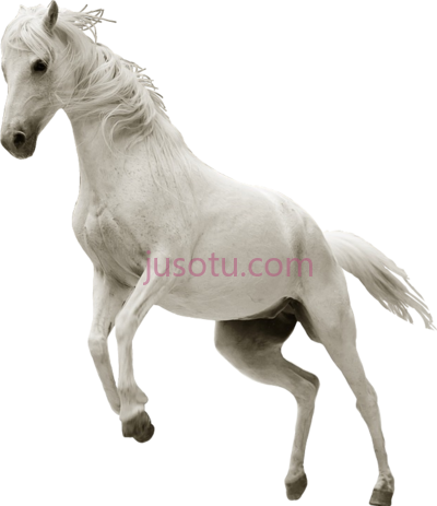 白马奔跑,horse whitehorse run running animals untamed PNG