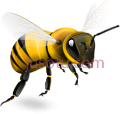 蜜蜂PNG