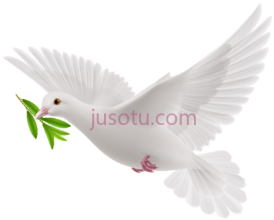 和平鸽,peace dove flying white pigeon PNG