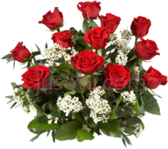红玫瑰花束,flower PNG
