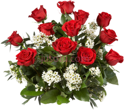 红玫瑰花束,bouquet red roses PNG