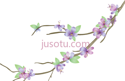 紫色花,various purple PNG