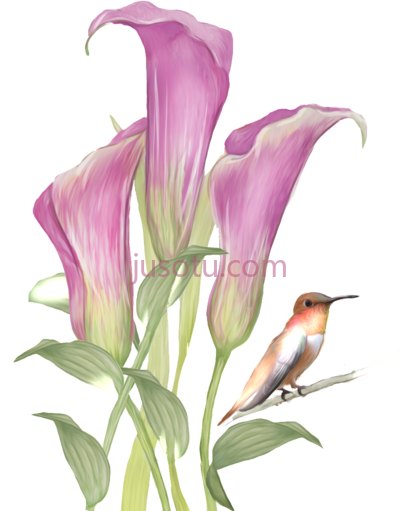 水彩花鸟,hand drawn flowers and birds watercolor painting PNG