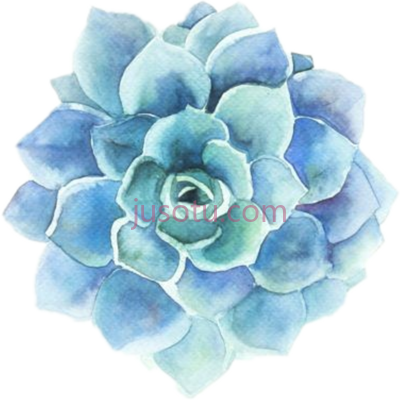 多肉,blue library succulent watercolor PNG