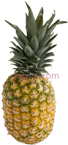 菠萝PNG