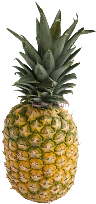菠萝,pineapple PNG