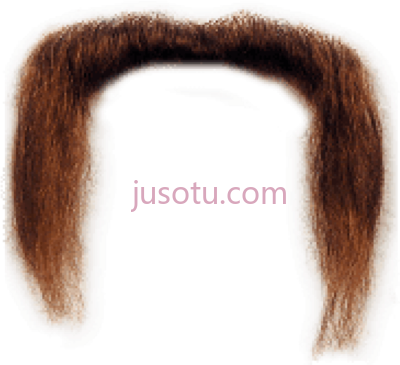 胡子,mustache long PNG