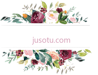 牡丹花,peony flowers PNG