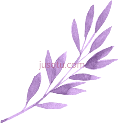 叶子紫色植物,leaf purple plants flowers PNG