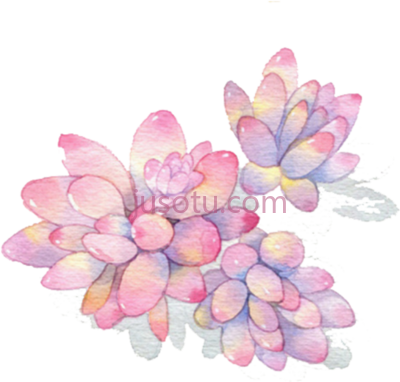 多肉,plants succulents watercolour PNG