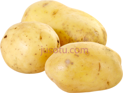 马铃薯,potato botanical PNG
