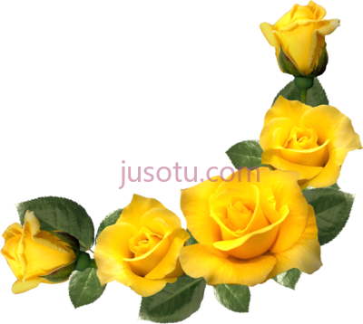 黄玫瑰角,immersion and distance yellow rose corner border PNG