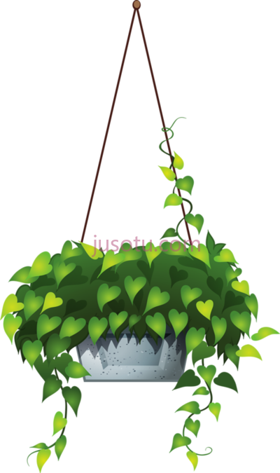 吊花盆植物,hanging flower 6 pot plants PNG