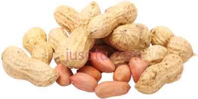 花生,peanuts PNG