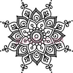 曼陀罗花PNG