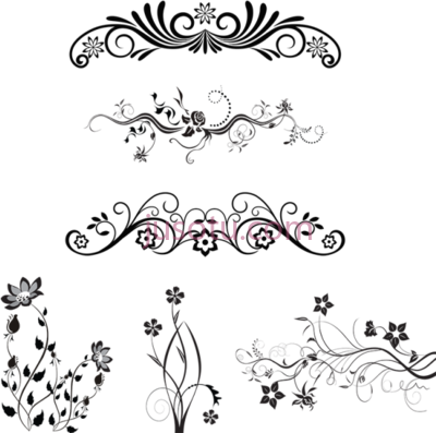花,floral PNG