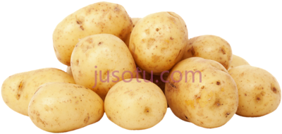 马铃薯,batatas potatis PNG