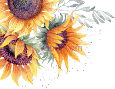 水彩太阳花,common watercolor sun PNG