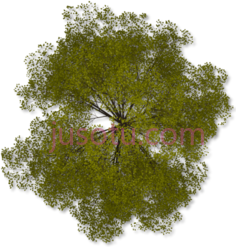 树梢, PNG