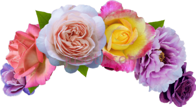 头带玫瑰,crown headband rose head PNG