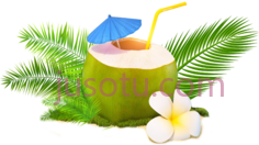 椰子水PNG