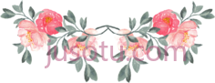 玫瑰月季PNG