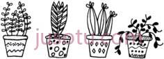 植物盆栽仙人掌,flower PNG