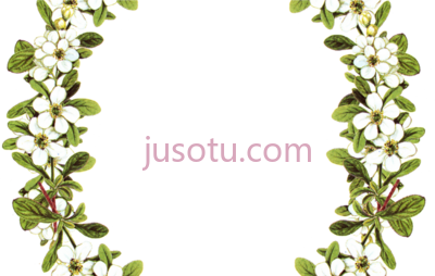 花圆形,digital vintage flower oval PNG