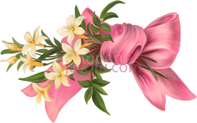 花,bow PNG
