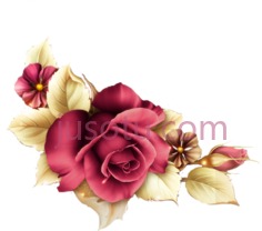 金花装饰贴花,玫瑰 PNG
