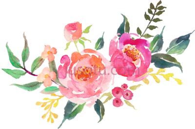 水彩花,watercolor flower PNG