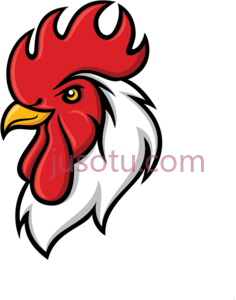 公鸡PNG