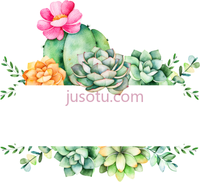 多肉,easy to grow plants cartoon succulent logo PNG