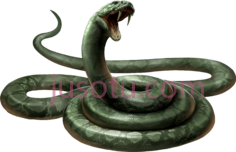 蛇PNG