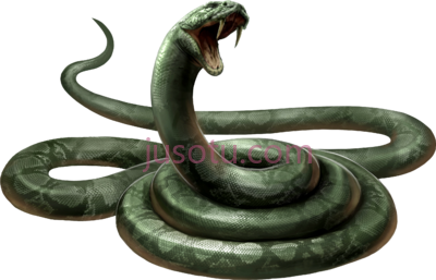 蛇,snake PNG